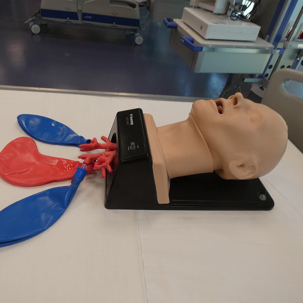 GESTIONE VIE AEREE labsi verduno